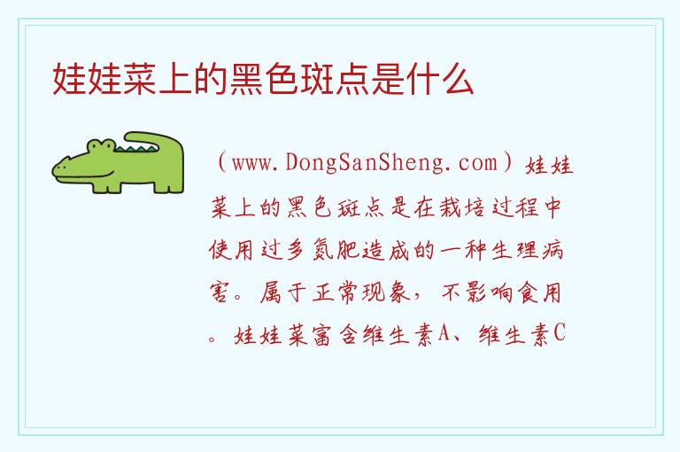 娃娃菜上的黑色斑点是什么 