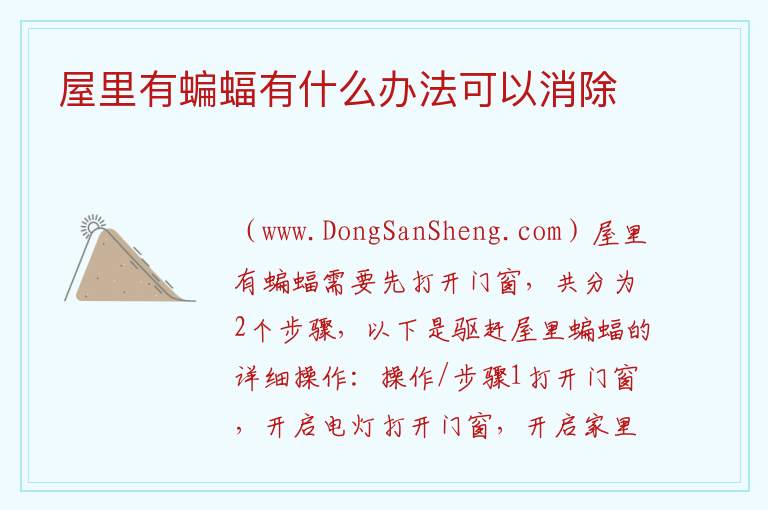 屋里有蝙蝠有什么办法可以消除 
