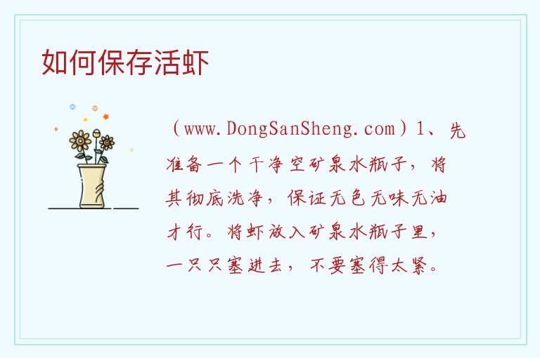 如何保存活虾 