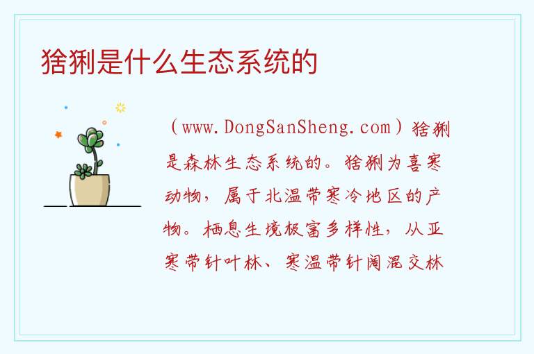 猞猁是什么生态系统的 