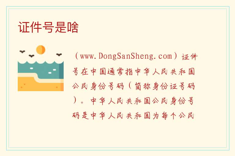 证件号是啥 