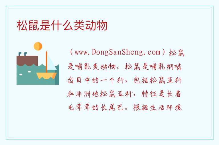 松鼠是什么类动物 