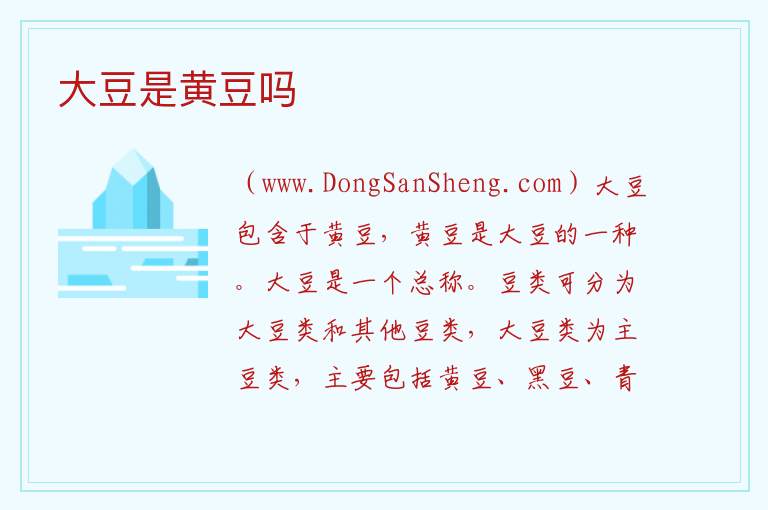 大豆是黄豆吗 