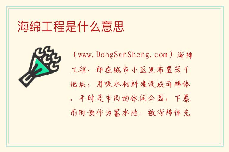 海绵工程是什么意思 