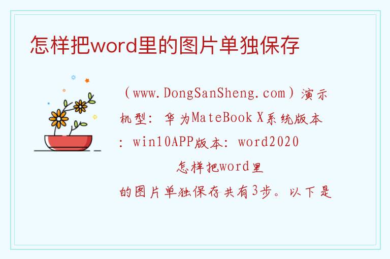 怎样把word里的图片单独保存 