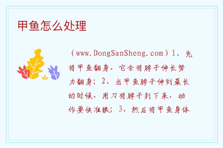 甲鱼怎么处理 甲鱼怎么养在家的方法