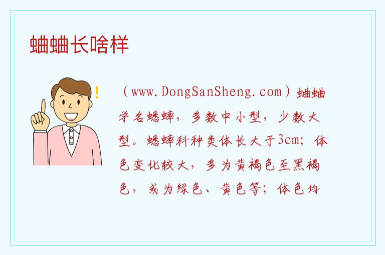 蛐蛐长啥样 