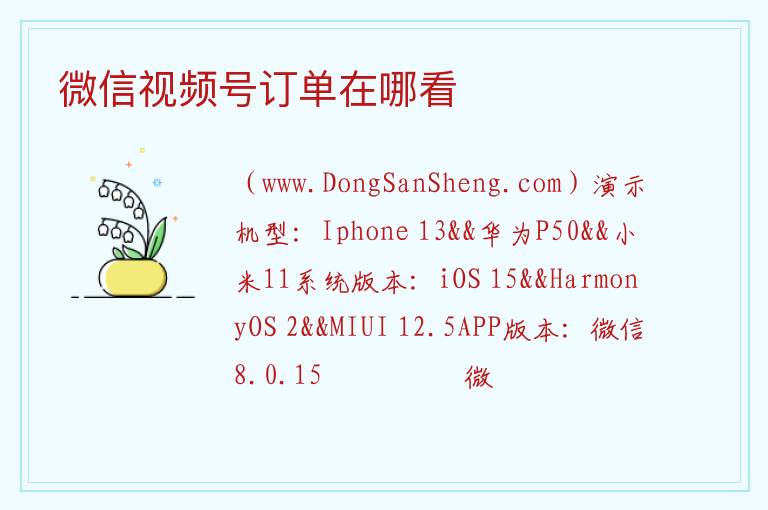 微信视频号订单在哪看 