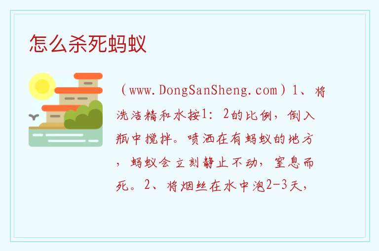 怎么杀死蚂蚁 