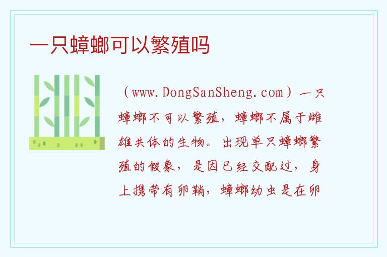 一只蟑螂可以繁殖吗 蟑螂烧死还会繁殖吗