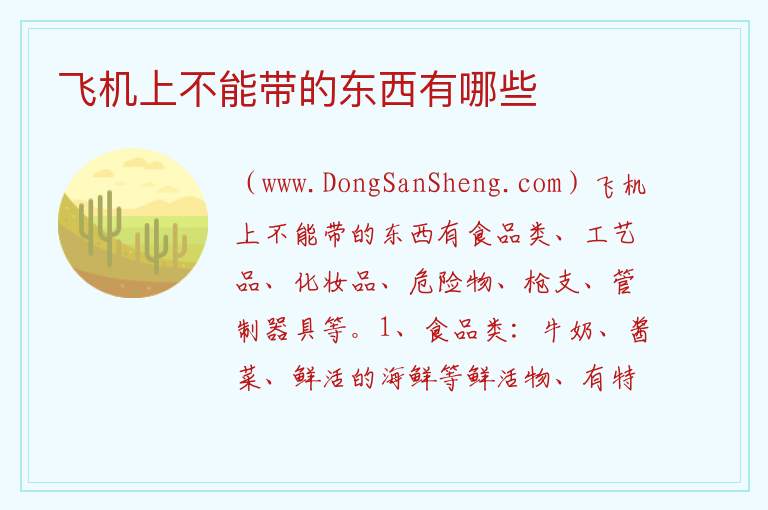 飞机上不能带的东西有哪些 