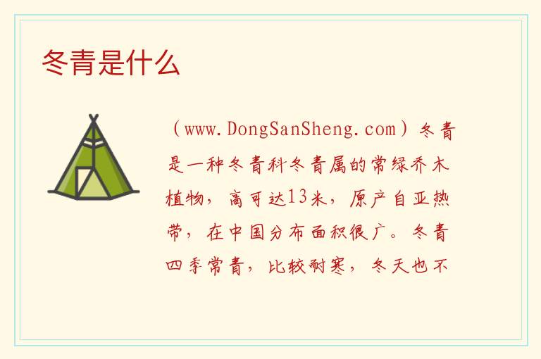 冬青是不是蔬菜，冬青是不是蔬菜
