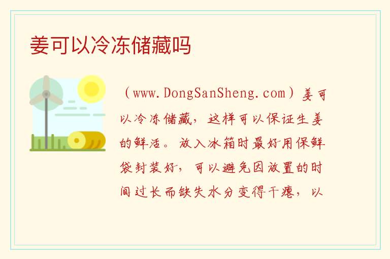 姜可以冷冻储藏吗 