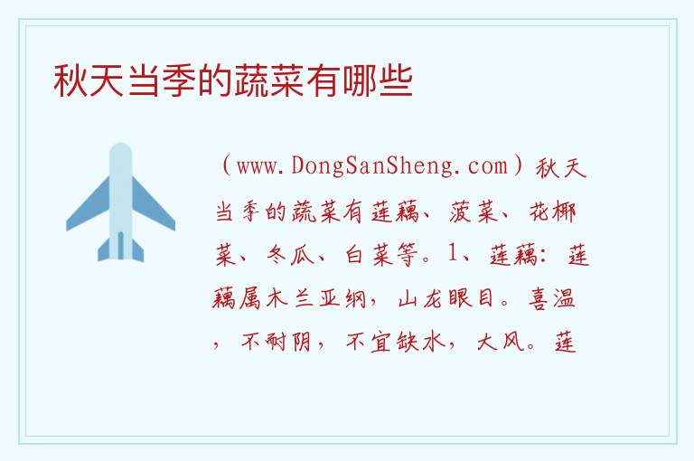秋天当季的蔬菜有哪些 