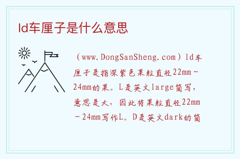 ld车厘子是什么意思 