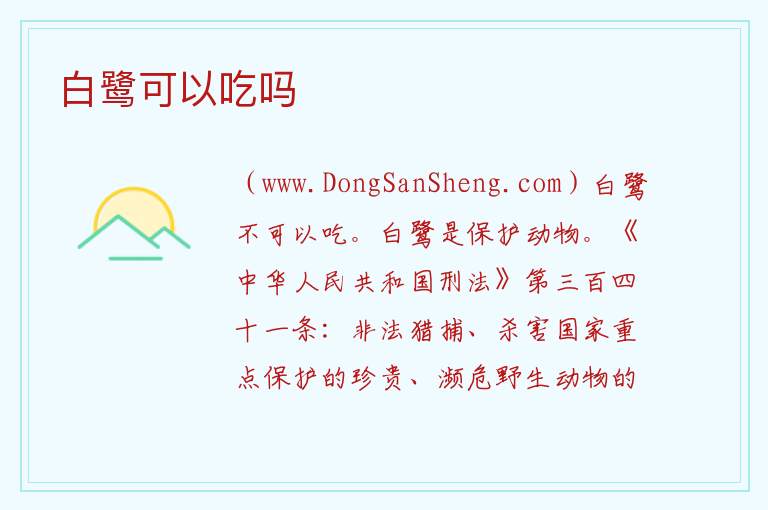 白鹭可以吃吗 