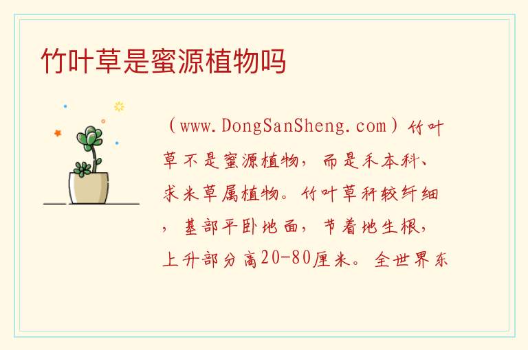 竹叶草是蜜源植物吗 