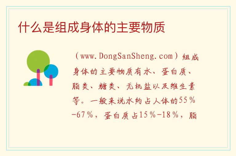 什么是组成身体的主要物质 