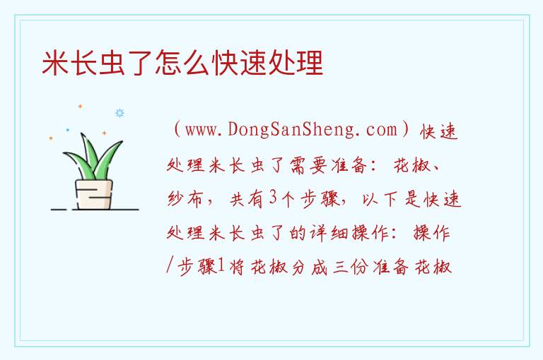 米长虫了怎么快速处理 