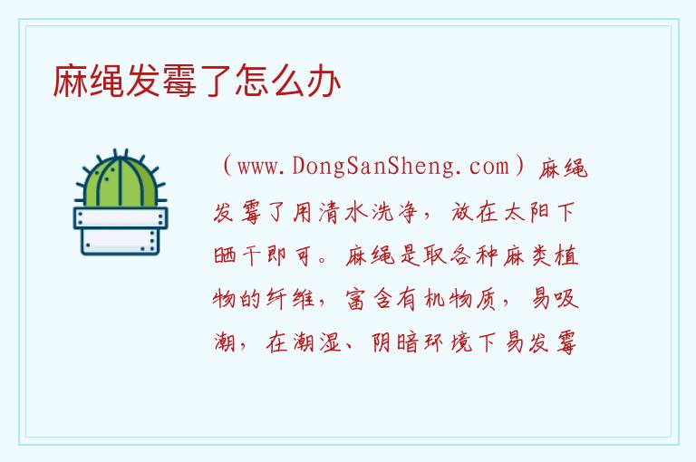 麻绳发霉了怎么办 