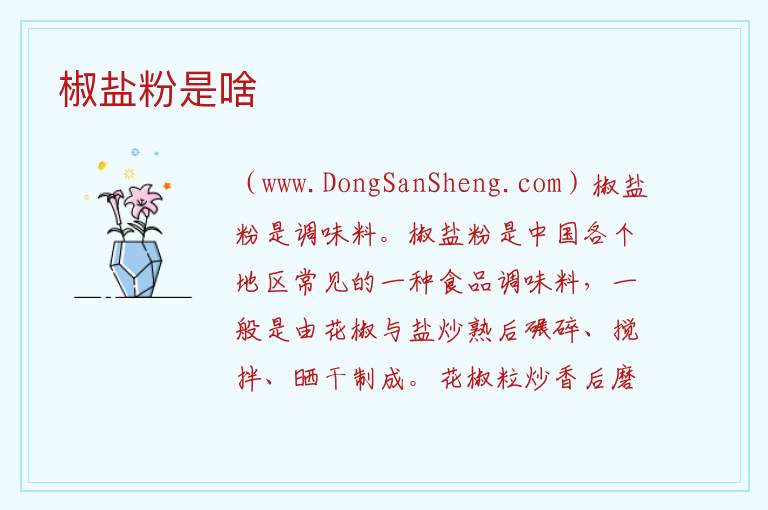 椒盐粉是啥 