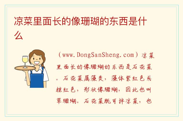 凉菜里面长的像珊瑚的东西是什么 