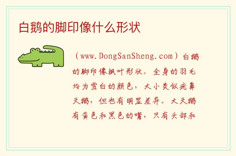 白鹅的脚印像什么形状 