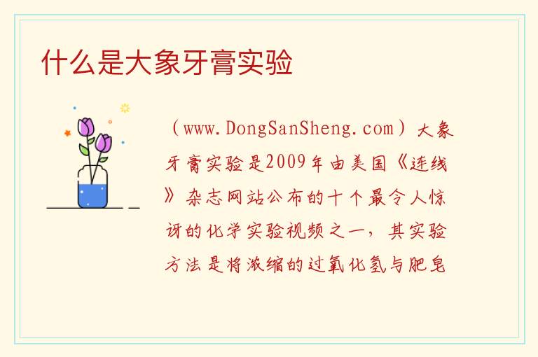 什么是大象牙膏实验 