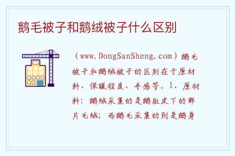 鹅毛被子和鹅绒被子什么区别 