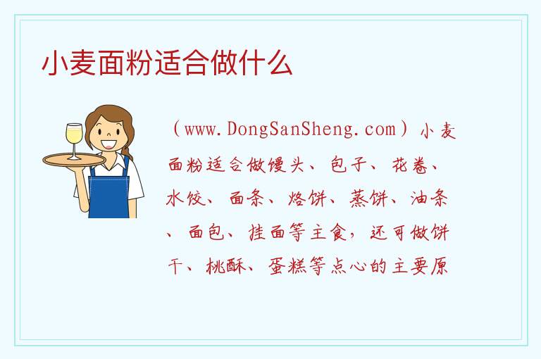 小麦面粉适合做什么 