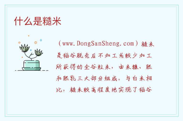 什么是糙米 