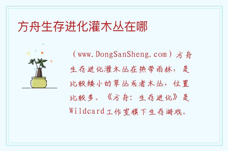 方舟生存进化灌木丛在哪 