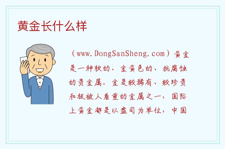 黄金长什么样 