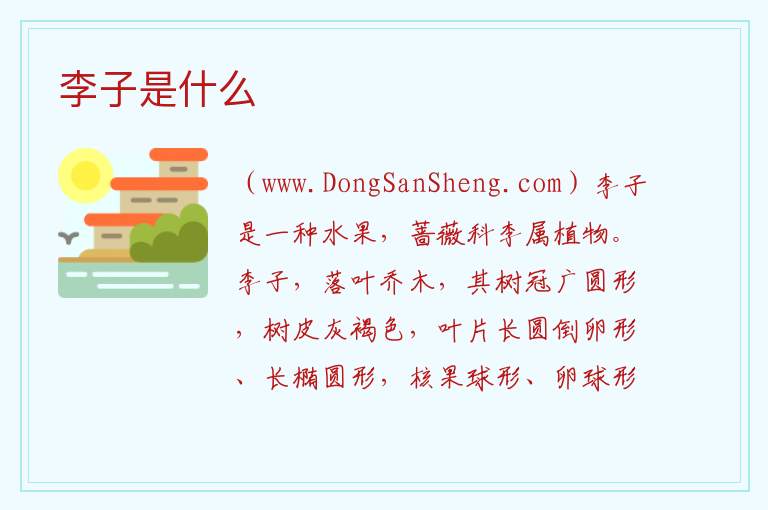 李子是什么 