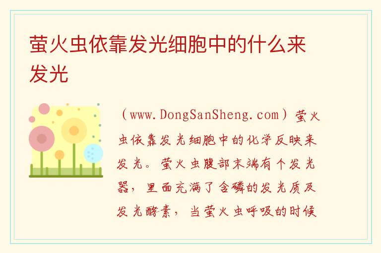 萤火虫依靠发光细胞中的什么来发光 