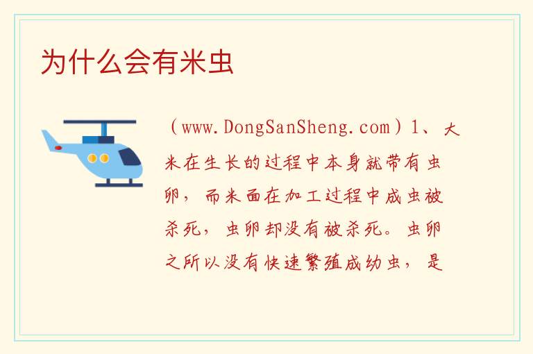 为什么会有米虫 