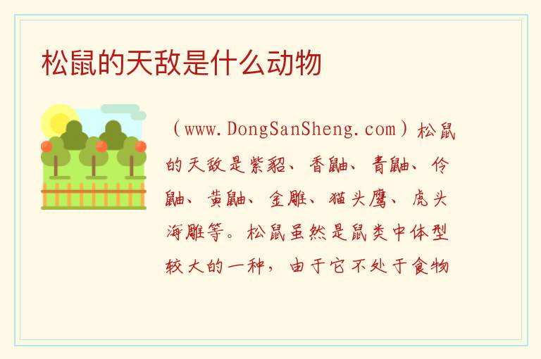 松鼠的天敌是什么动物 