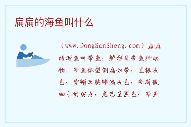 扁扁的海鱼叫什么 