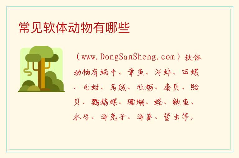 常见软体动物有哪些 