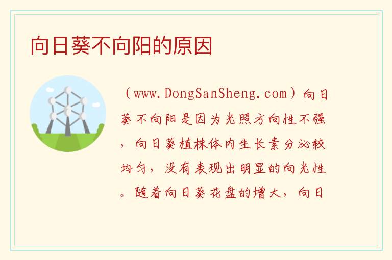 向日葵不向阳的原因 