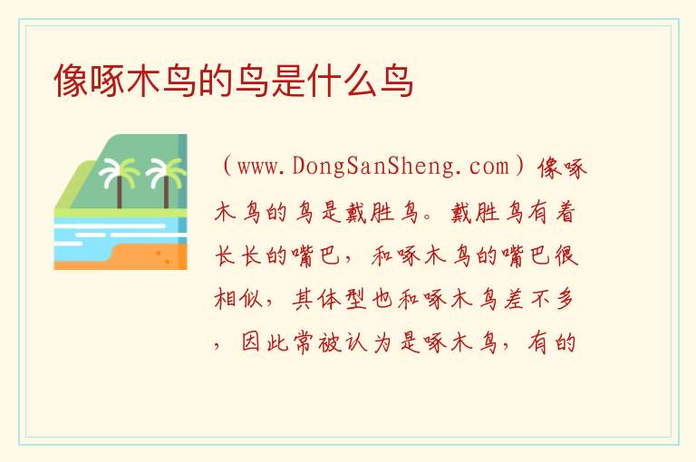 像啄木鸟的鸟是什么鸟 