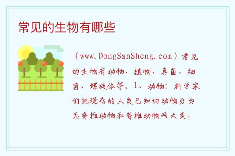 常见的生物有哪些 