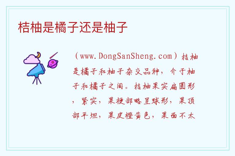 桔柚是橘子还是柚子 