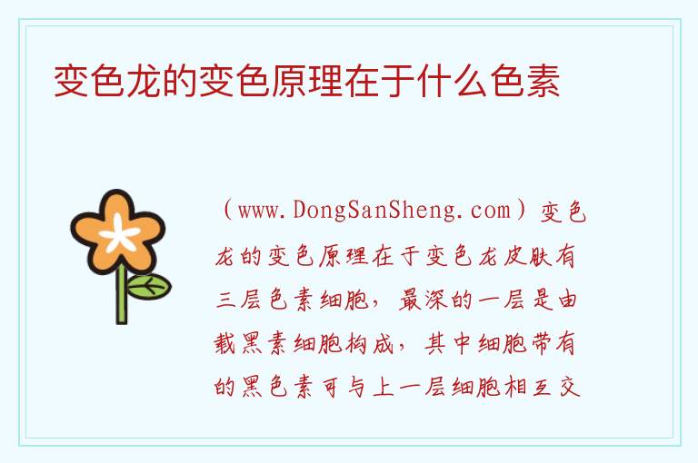 变色龙的变色原理在于什么色素 