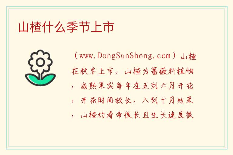 山楂什么季节上市 