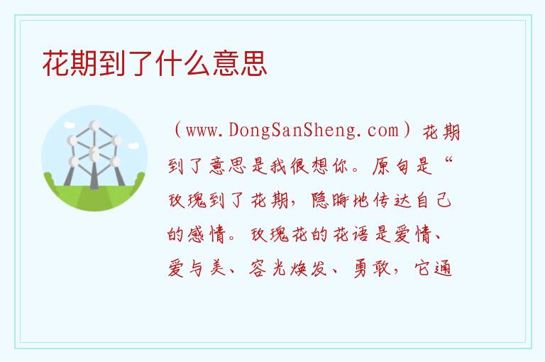 花期到了什么意思 
