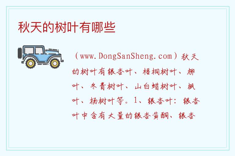 秋天的树叶有哪些 