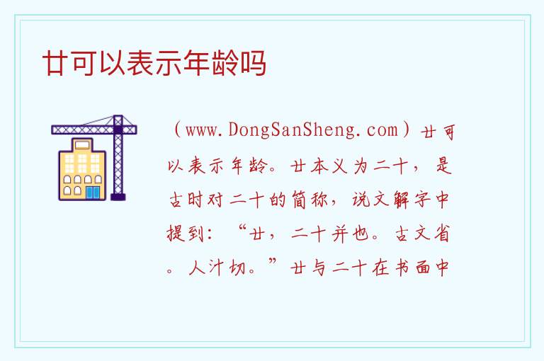 廿可以表示年龄吗 