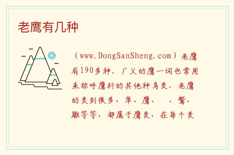老鹰有几种 