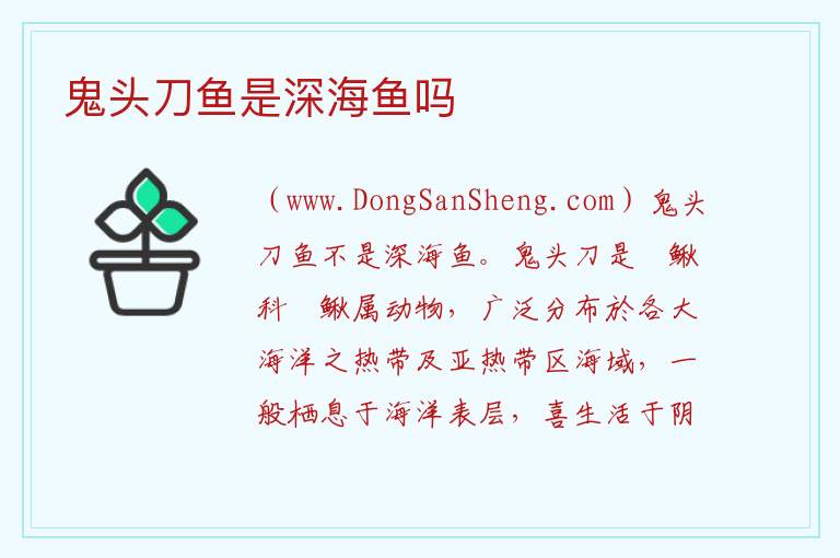 鬼头刀鱼用什么钓法，鬼头刀鱼用什么钓法